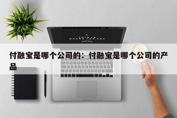 付融宝是哪个公司的：付融宝是哪个公司的产品