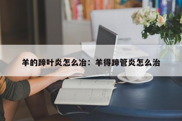 羊的蹄叶炎怎么冶：羊得蹄管炎怎么治