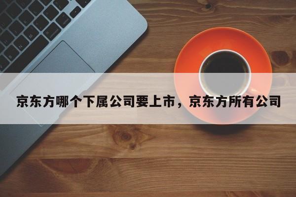 京东方哪个下属公司要上市，京东方所有公司