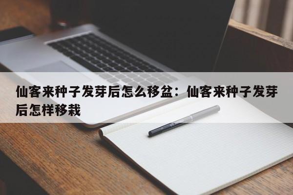 仙客来种子发芽后怎么移盆：仙客来种子发芽后怎样移栽