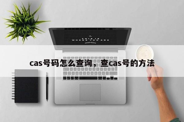 cas号码怎么查询，查cas号的方法