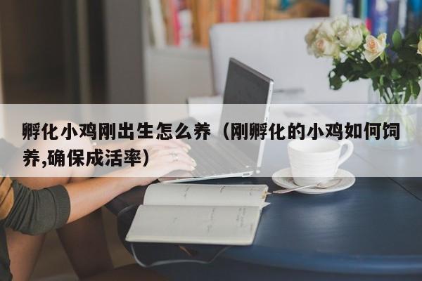 孵化小鸡刚出生怎么养（刚孵化的小鸡如何饲养,确保成活率）