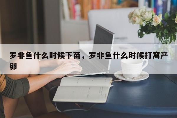 罗非鱼什么时候下苗，罗非鱼什么时候打窝产卵