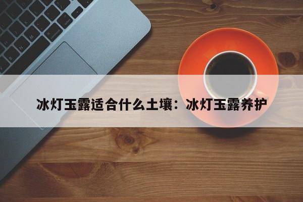 冰灯玉露适合什么土壤：冰灯玉露养护