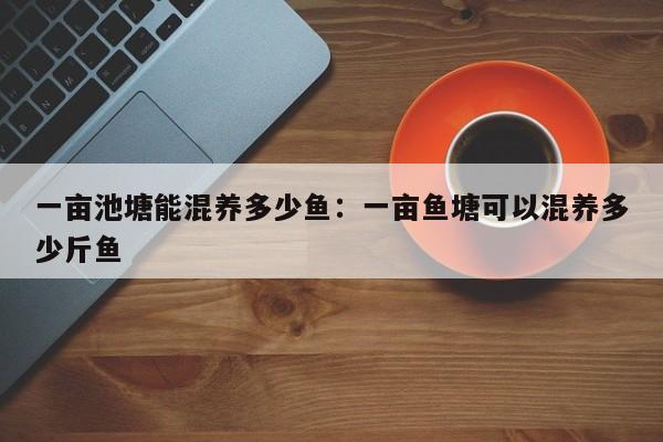 一亩池塘能混养多少鱼：一亩鱼塘可以混养多少斤鱼