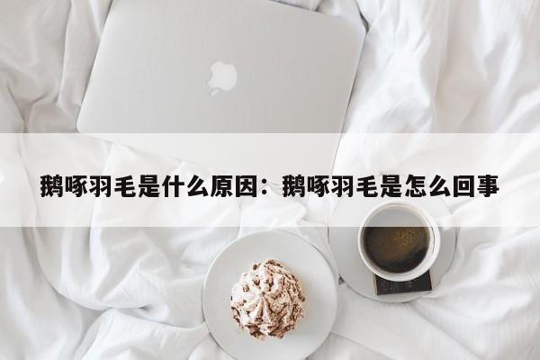 鹅啄羽毛是什么原因：鹅啄羽毛是怎么回事