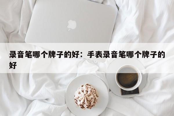 录音笔哪个牌子的好：手表录音笔哪个牌子的好