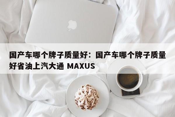 国产车哪个牌子质量好：国产车哪个牌子质量好省油上汽大通 MAXUS